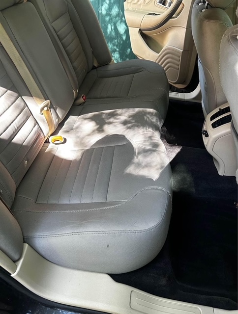 Sedan rear seats after detailing — clean leather